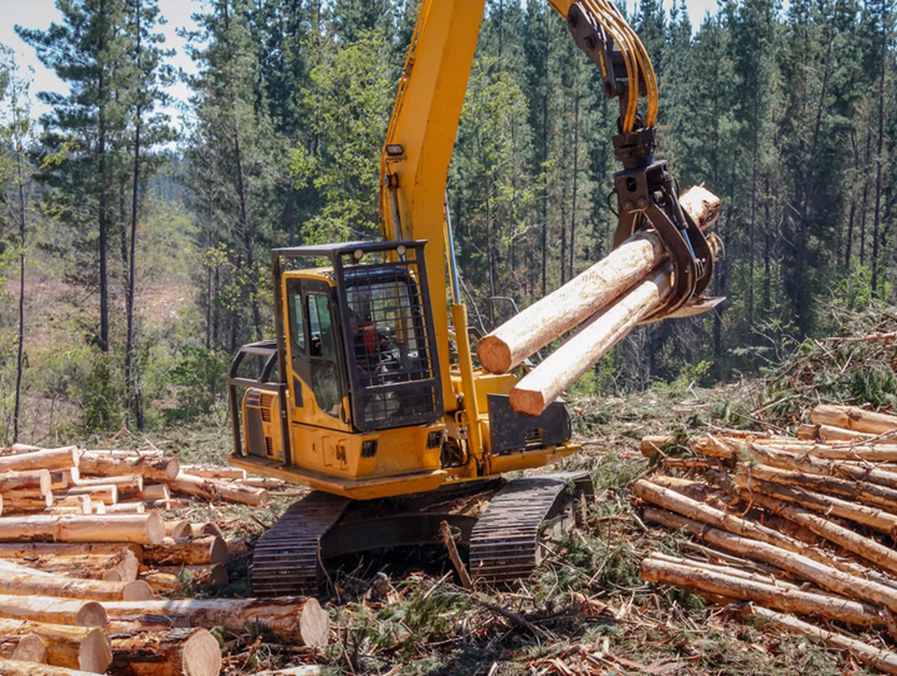 Hydraulic Cylinder for Forestry Equipment