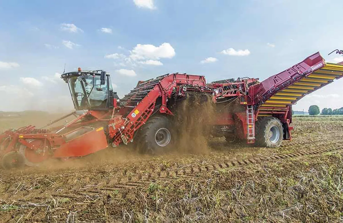Hydraulic Cylinder for Potato Harvester