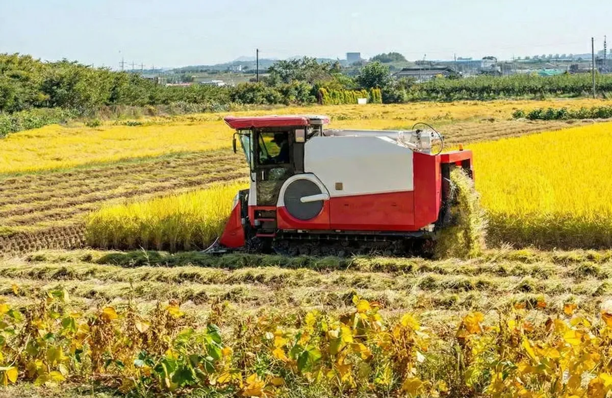 Hydraulic Cylinder for Rice Harvester