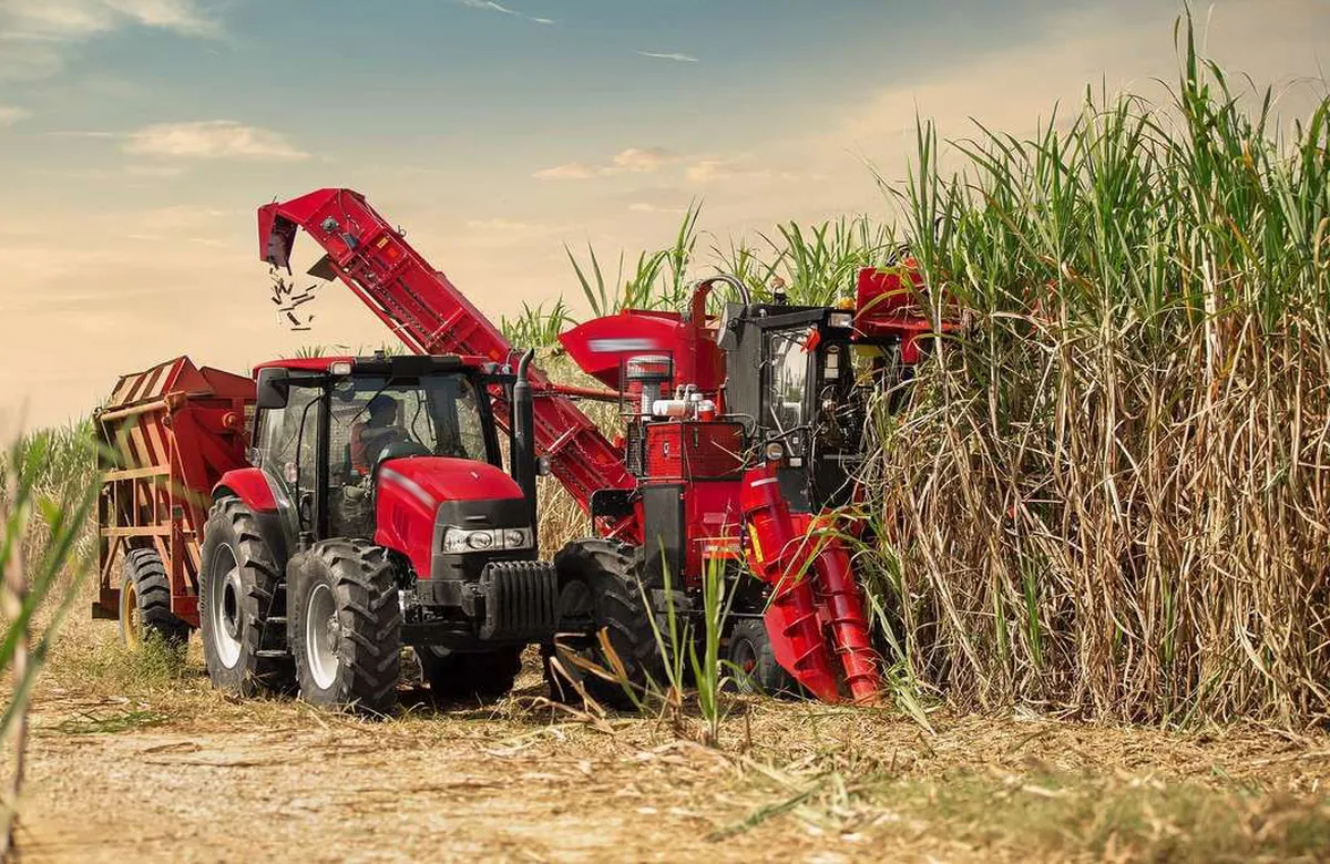 Hydraulic Cylinder for Sugarcane Harvester
