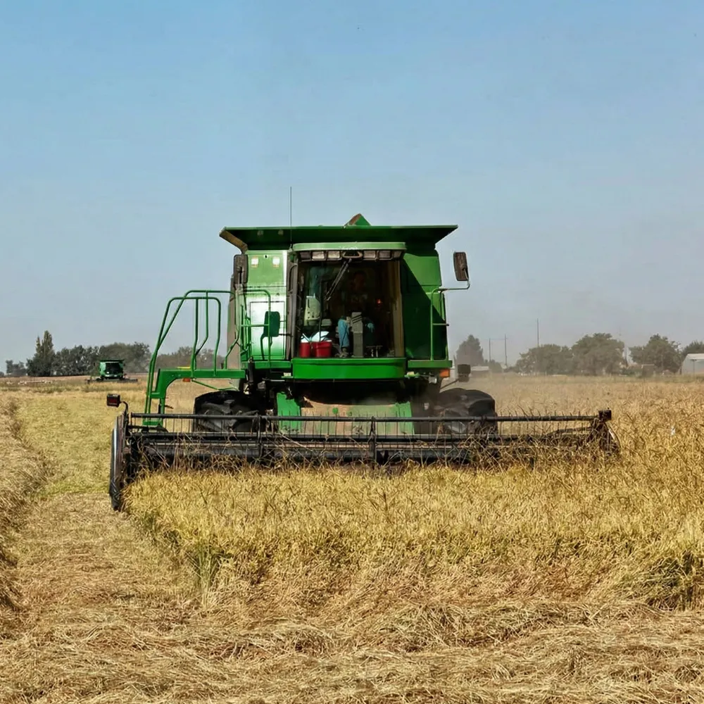 Hydraulic Steering Cylinder for Rice Harvester